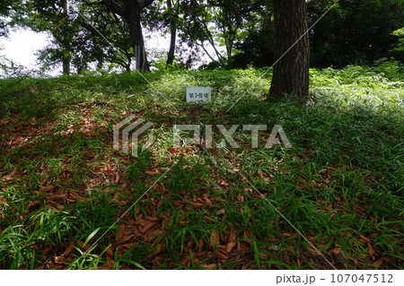 多摩川台公園　多摩川台古墳群 107047512