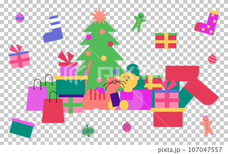 クリスマスに家でショッピングを楽しむ女性と猫 107047557