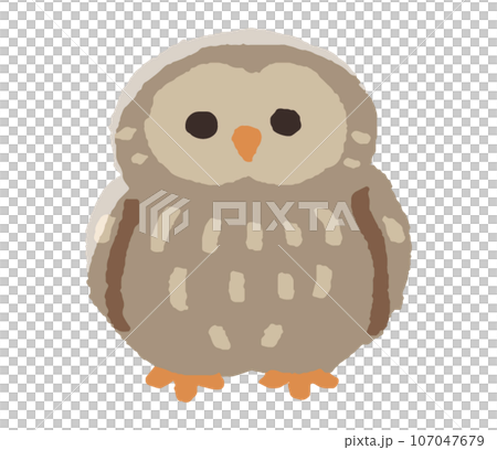 貓頭鷹   107047679