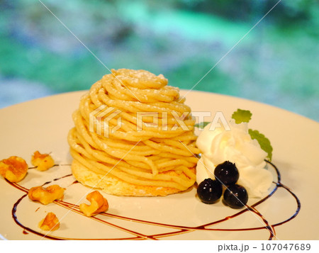 お皿に盛りつけられた　モンブラン 107047689