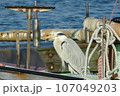 漁船のアオサギ 107049203