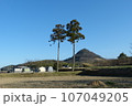 二本杉 107049205