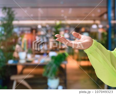 Image photo Image photo 107049323