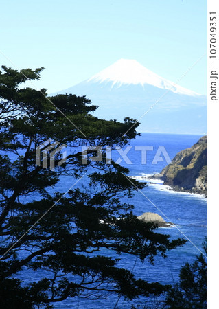 西伊豆の海越しに見る富士山 107049351