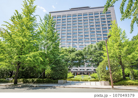 宮城県仙台市　快晴の宮城県庁 107049379