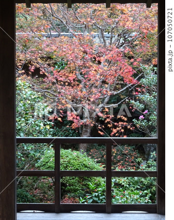 京都の紅葉をめぐる　法然院編 107050721