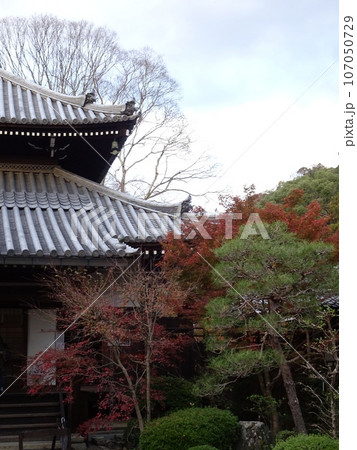 京都の紅葉をめぐる 法然院編 京都の紅葉をめぐる 法然院編 107050729