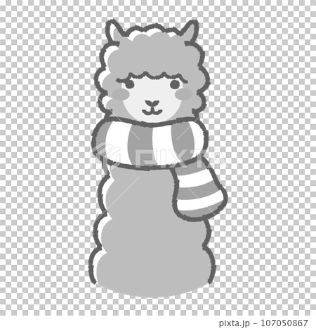 一隻毛茸茸的羊駝戴著圍巾（正面）黑白的插圖 107050867