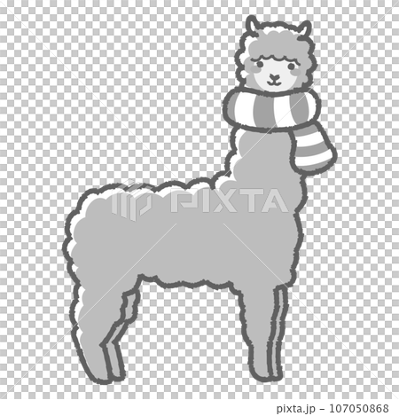 Illustration of a fluffy alpaca wrapped in a scarf (full body) black and white Illustration of a fluffy alpaca wrapped in a scarf (full body) black and white 107050868