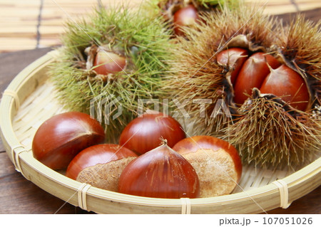 大粒イガ栗　秋の味覚 107051026