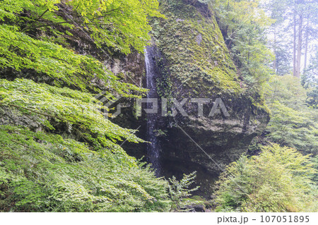 榛名神社 参道脇の清流 榛名川 榛名山 瓶子瀧 榛名神社 参道脇の清流 榛名川 榛名山 瓶子瀧 107051895