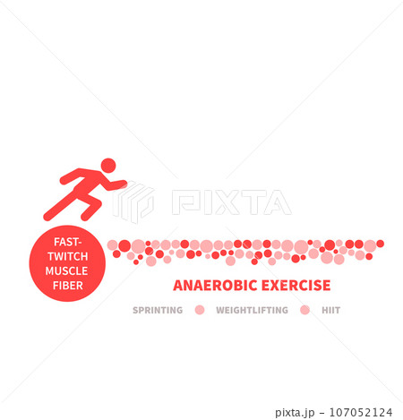 Fast twitch white muscle fiber type illustration Fast twitch white muscle fiber type illustration 107052124