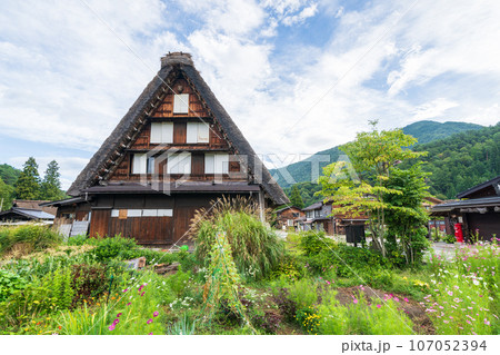 「岐阜県」秋の白川郷・実りの秋と合掌造り集落 「岐阜県」秋の白川郷・実りの秋と合掌造り集落 107052394