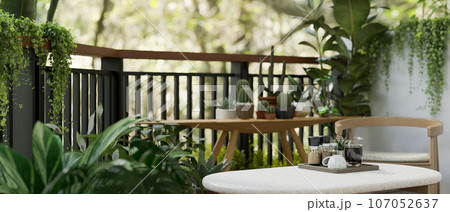 Copy space on a coffee table on a greenery apartment balcony with various tropical plants. 107052637