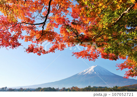 秋の紅葉と富士山 107052721