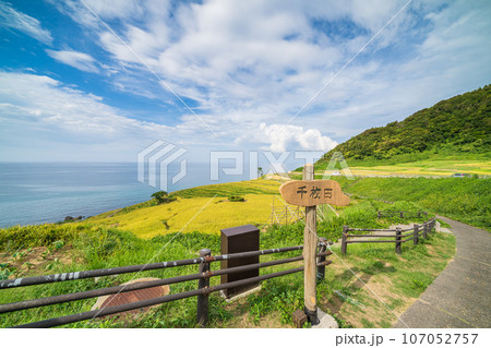 「石川県」秋の白米千枚田 能登半島 「石川県」秋の白米千枚田 能登半島 107052757