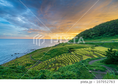 「石川県」秋の白米千枚田 能登半島 「石川県」秋の白米千枚田 能登半島 107052763