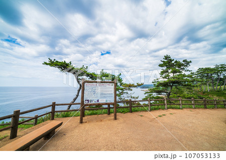 「石川県」ヤセの断崖展望台　能登半島 107053133