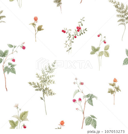 Beautiful seamless pattern with hand drawn watercolor forest plants with leaves and berries. Stock illustration. Popular design. 107053273
