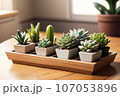 多肉植物のミニチュアの飾り「AI生成画像」 107053896