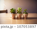 多肉植物の鉢植え「AI生成画像」 107053897