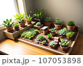 多肉植物のミニチュアガーデン「AI生成画像」 107053898