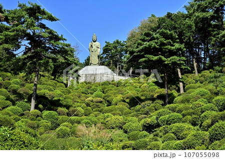 青梅市の塩船観音寺の緑のつつじ園にススキと塩船平和観音像 青梅市の塩船観音寺の緑のつつじ園にススキと塩船平和観音像 107055098