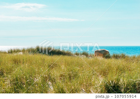 Sylt island landscape with marram grass dunes and horizon over the sea 107055914