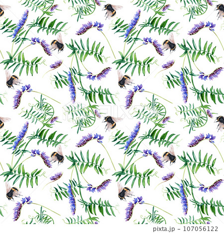 Seamless pattern with blue vetch and bumblebee. Watercolor illustration isolated on white for wrapping, fabric, textile 107056122