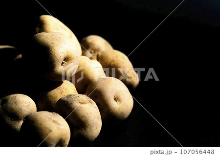 ジャガイモ（男爵薯） 107056448