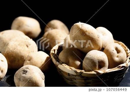 ジャガイモ(男爵薯) ジャガイモ(男爵薯) 107056449