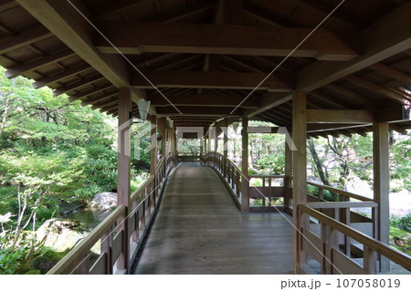 兵庫県姫路市にある日本庭園好古園の風景 107058019