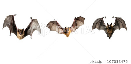 silhouette bat animal ai generated 107058476