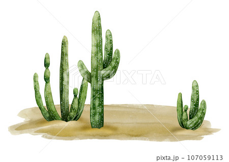 Desert landscape with saguaro cactuses and sand watercolor illustration isolated on white background. Arizona, Wild West or Mexican nature clipart 107059113