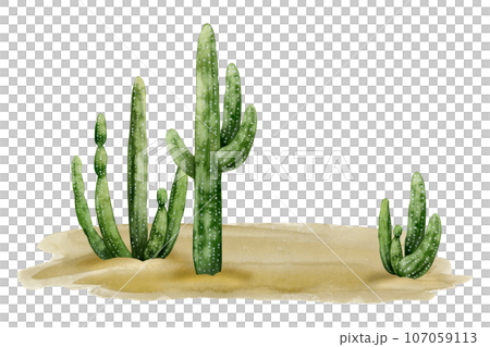 Desert landscape with saguaro cactuses and sand watercolor illustration isolated on white background. Arizona, Wild West or Mexican nature clipart 107059113