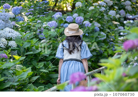 岡山県岡山市北区 吉備津神社アジサイと女性 岡山県岡山市北区 吉備津神社アジサイと女性 107060730