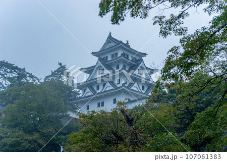 木々の間から見える天守閣 木々の間から見える天守閣 107061383
