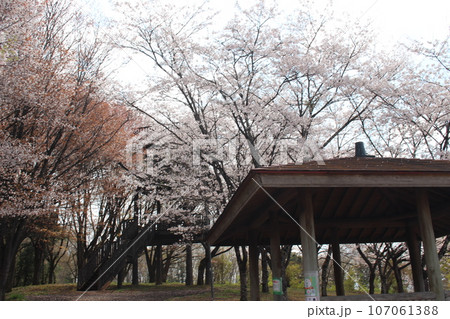 芳賀町 冨士山自然公園 107061388