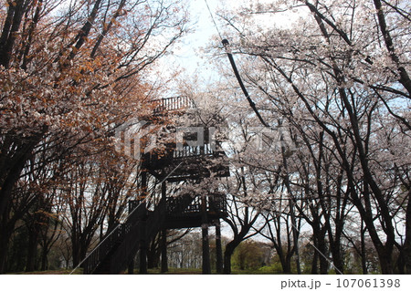 芳賀町 冨士山自然公園 芳賀町 冨士山自然公園 107061398