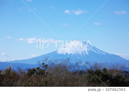 鎌倉から望む新春の富士　自然風景 107062501