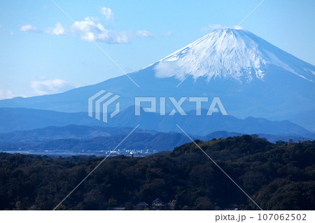 鎌倉から望む新春の富士　自然風景 107062502