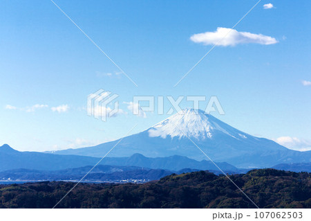 鎌倉から望む新春の富士　自然風景 107062503