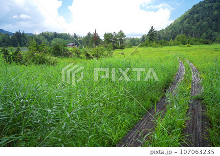 夏の静かな尾瀬　沼尻平の沼尻休憩所 107063235