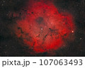 像の鼻星雲_2023.09 107063493