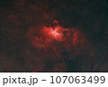 わし星雲_2023.06 107063499