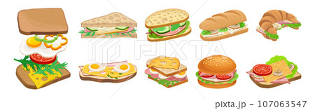 Tasty Sandwich as Bread with Different Stuffings Vector Set Tasty Sandwich as Bread with Different Stuffings Vector Set 107063547