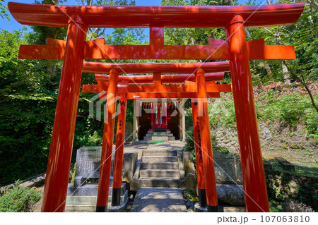 千葉県館山市の御手洗山の洲崎神社の拝殿付近の稲荷神社(洲崎神社末社) 千葉県館山市の御手洗山の洲崎神社の拝殿付近の稲荷神社(洲崎神社末社) 107063810