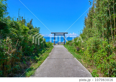 夏の千葉県館山市の洲崎神社の一の鳥居(浜の鳥居)を見る 夏の千葉県館山市の洲崎神社の一の鳥居(浜の鳥居)を見る 107063816