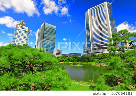 【東京都】晴天の旧芝離宮恩賜庭園 107064181