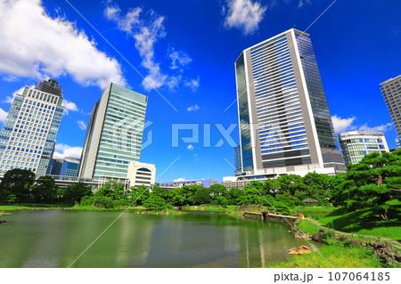 【東京都】晴天の旧芝離宮恩賜庭園 107064185